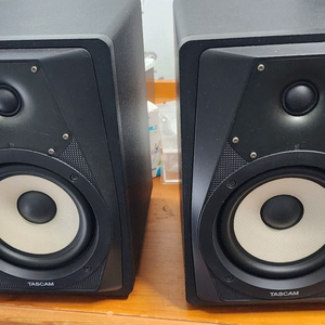 @개인민트급@택포@타스캄 액티브 스피커