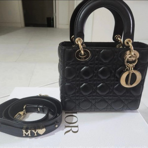 디올 레이디백 스몰