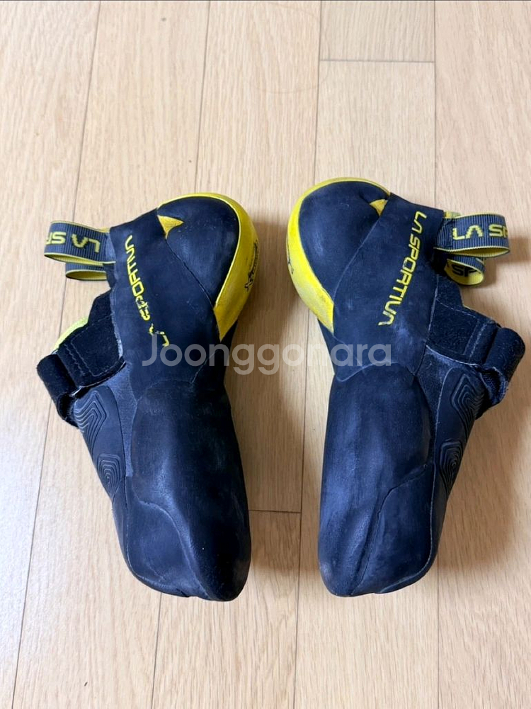 스카르파 씨어리 암벽화 클라이밍화--2