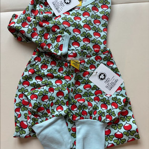 던스 25fw 에그쉘 블루 상하