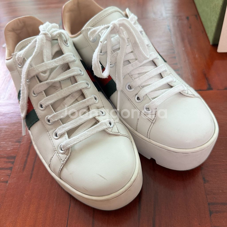 [35+] 구찌 여성 에이스 플랫퓸 스니커즈--1