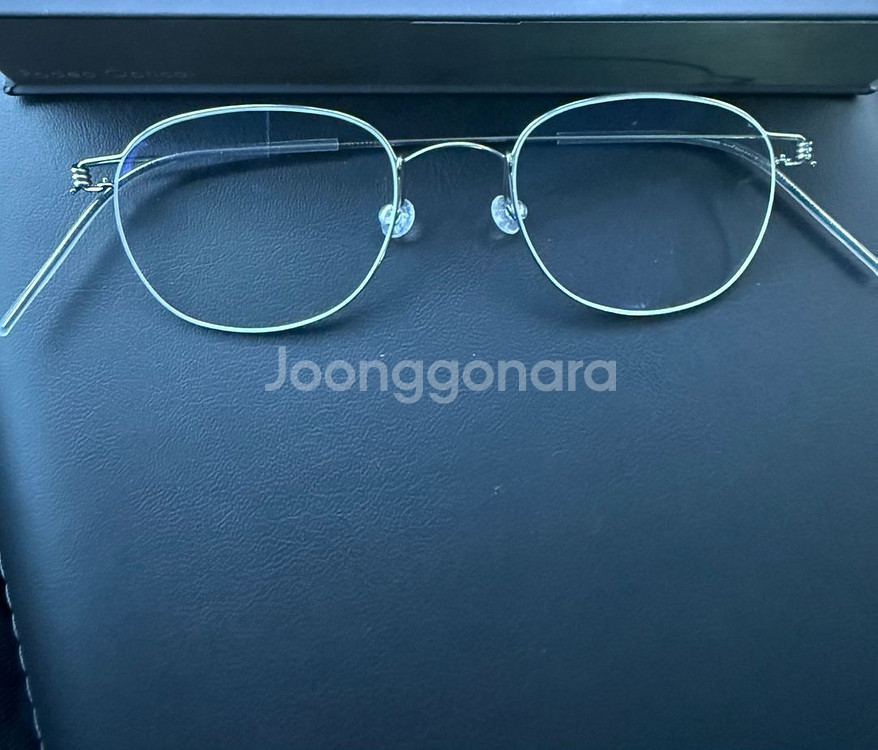 린드버그 로빈 Robin 49 155 안경테 모르텐--1