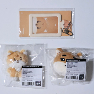 데이식스 영케이 쁘쁘멀+스트레스볼+포토홀더 일괄