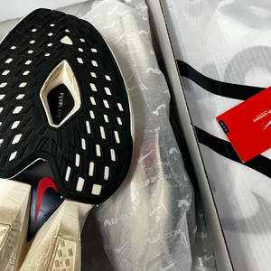 나공홈)알파플라이2 킵초게 255사이즈 마일리지 10k