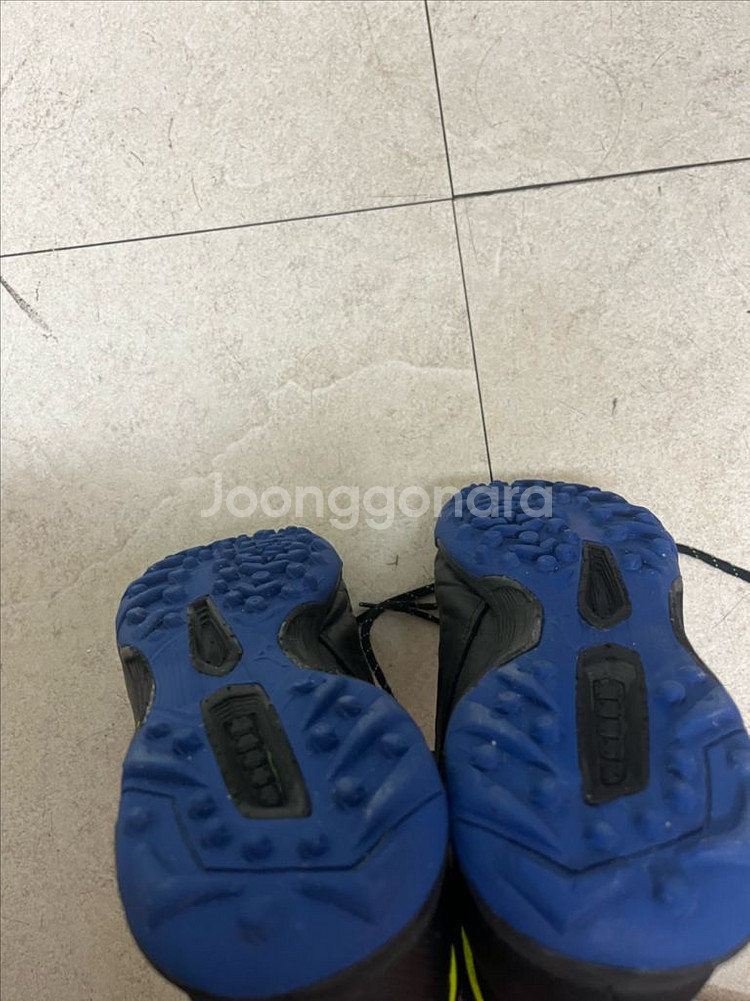 미즈노 레뷸라 풋살화 255--3