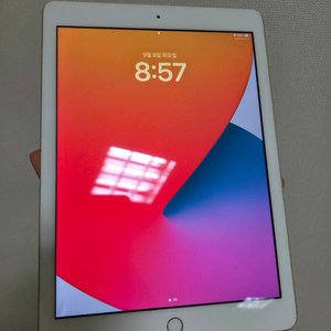 (2017) 애플 아이패드 iPad 5세대 9.7인치