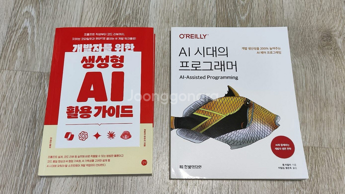 개발자를위한 생성형 AI활용가이드+AI 시대의프로그래머--0