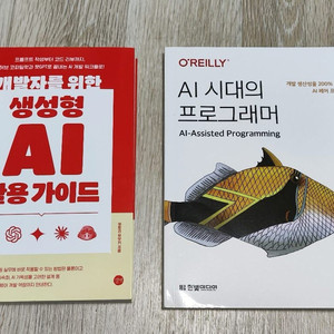 개발자를위한 생성형 AI활용가이드+AI 시대의프로그래머