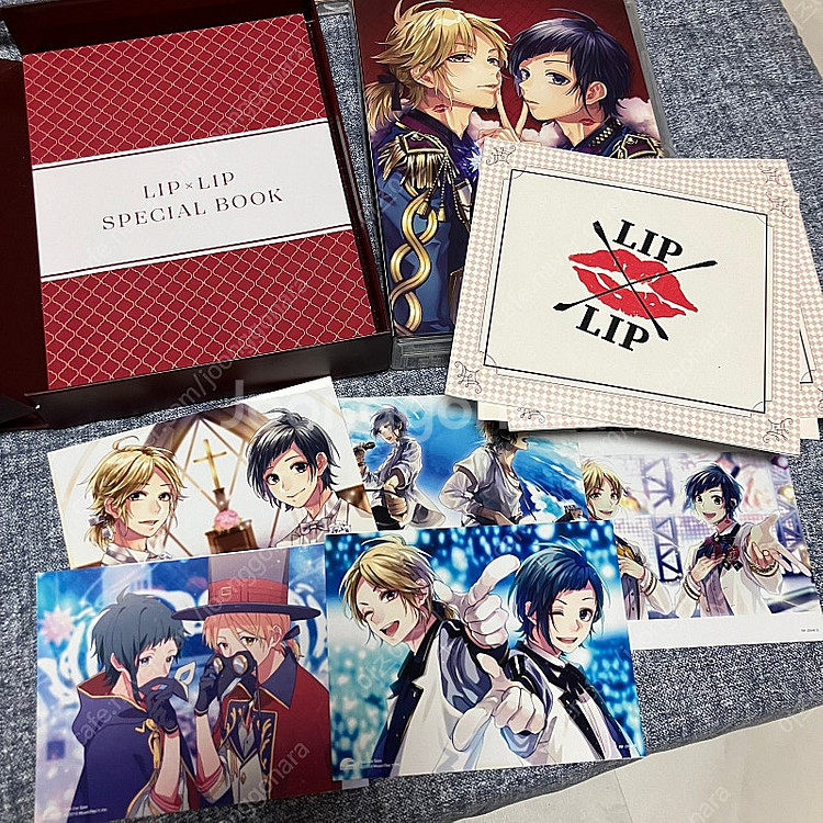 허니웍스 LIPxLIP 립앤립 앨범CD DVD굿즈 소설--2