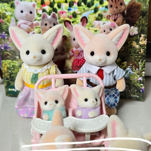 실바니안 사막여우 분리판매