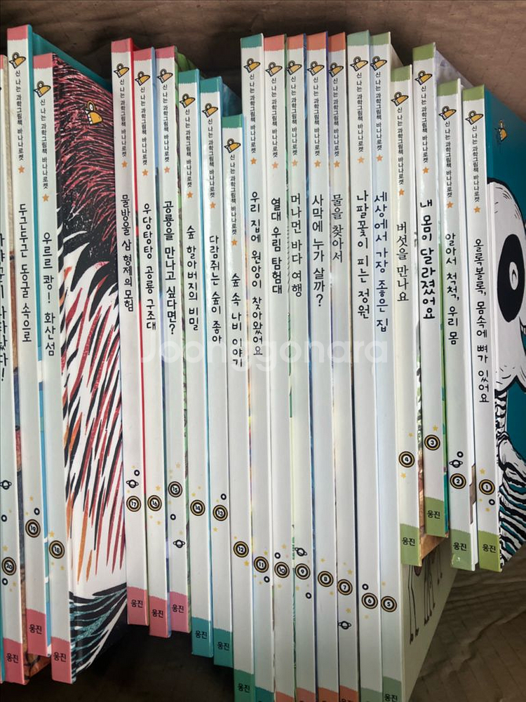 바나나로컷 1단계.2단계 (택포)--5