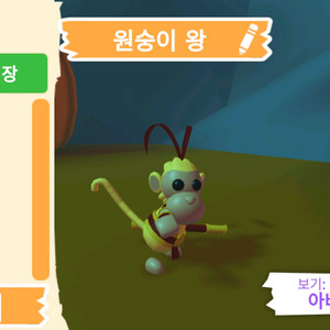 입양하세요 펫 원숭이 왕(킹몽)판매합니다