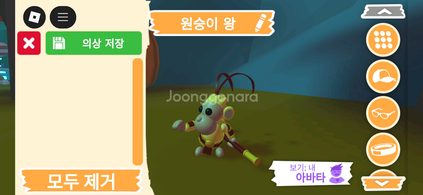 입양하세요 펫 원숭이 왕(킹몽)판매합니다--2