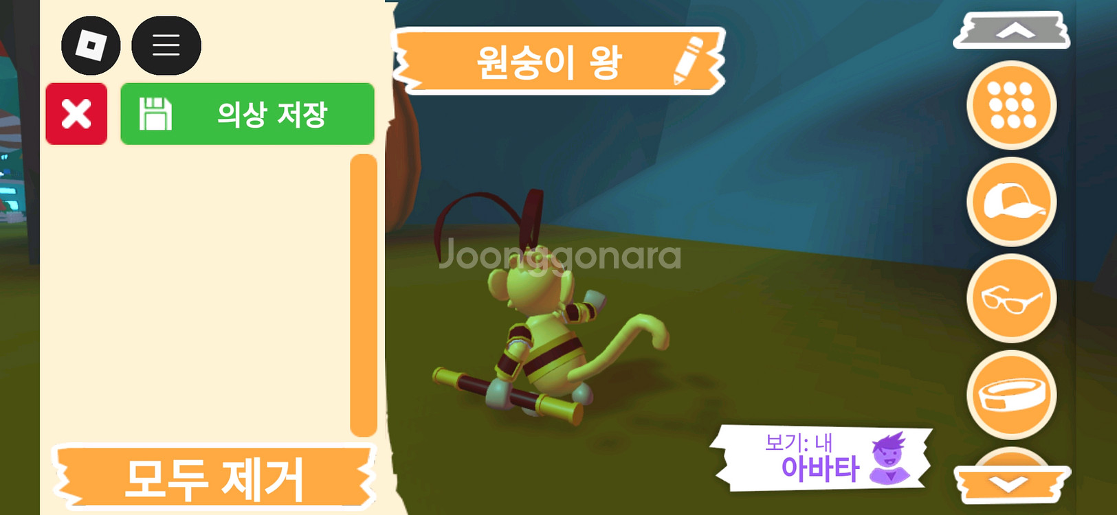 입양하세요 펫 원숭이 왕(킹몽)판매합니다--3