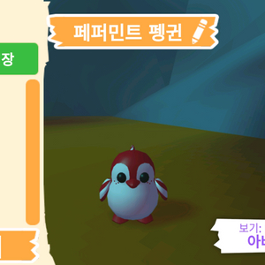 입양하세요 펫 페퍼민트 펭귄 (페펭) 판매합니다