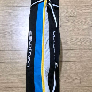 살로몬 익스펜더블 스키백 판매합니다.