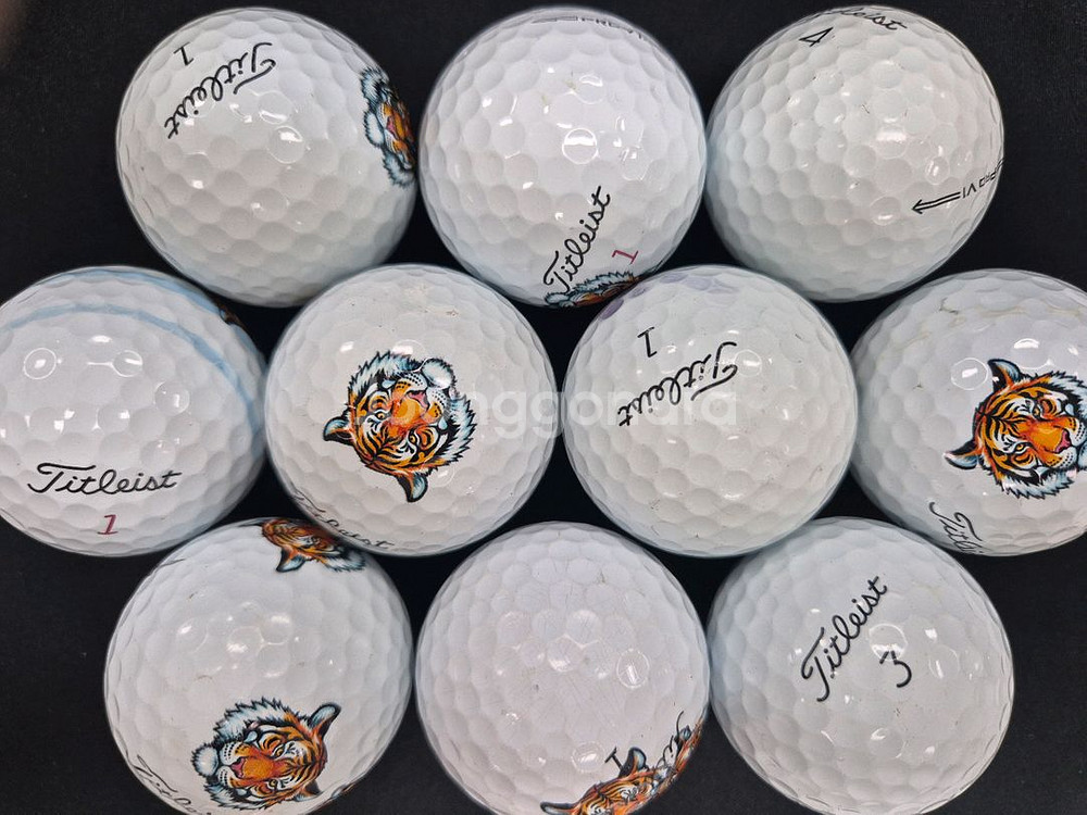 무배 타이틀 v1.v1x A급 인쇄볼 30개 로스트볼--0