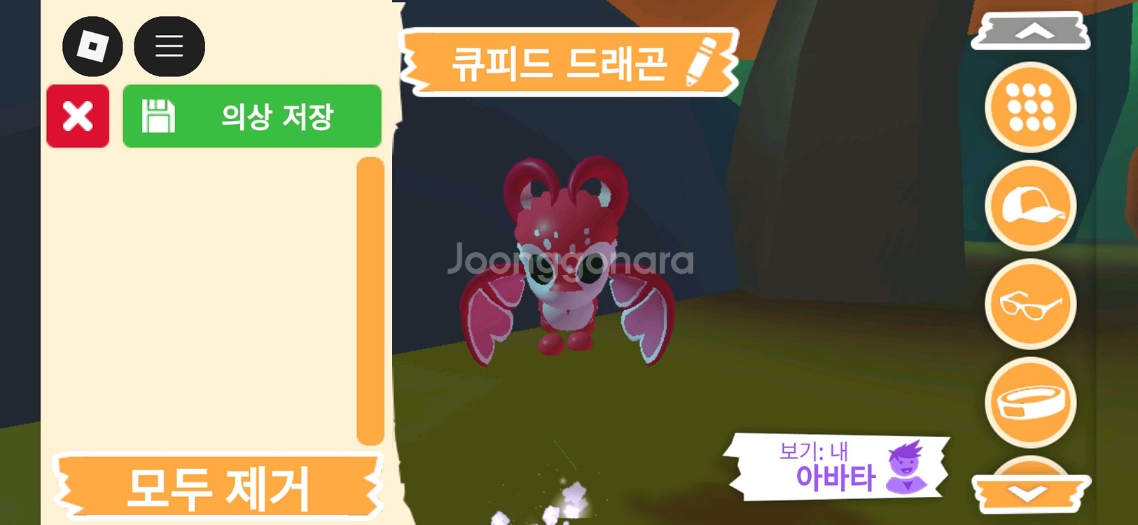 입양하세요 펫 큐피드 드래곤 판매합니다--0