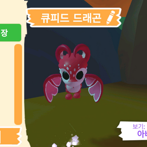 입양하세요 펫 큐피드 드래곤 판매합니다