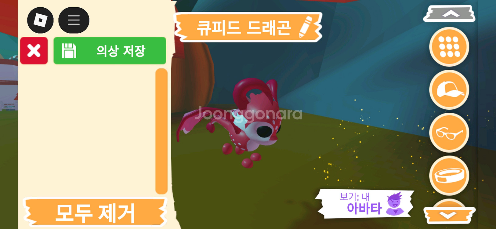 입양하세요 펫 큐피드 드래곤 판매합니다--1