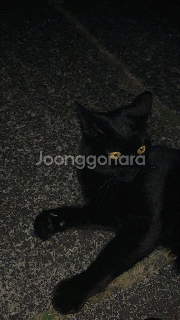 쟈나님 결제창--0