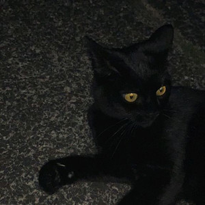 쟈나님 결제창