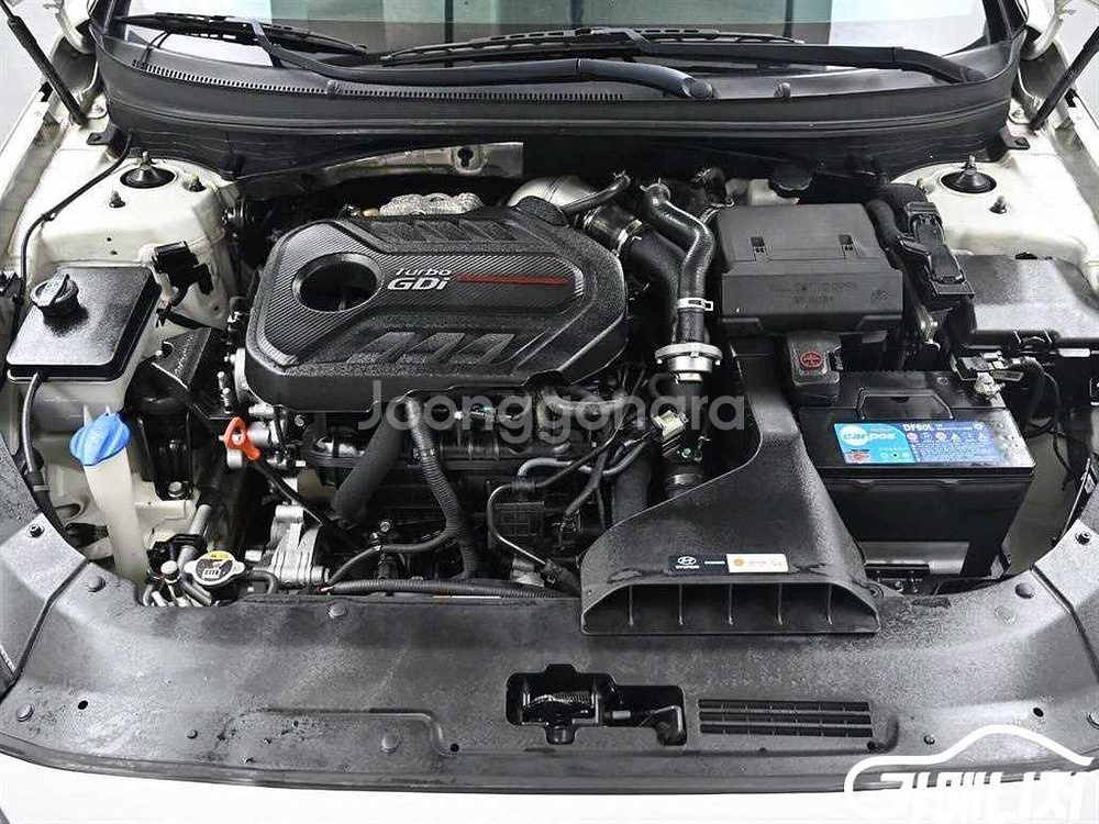 [현대]쏘나타 뉴 라이즈 2.0 터보 익스클루시브 #앱--5