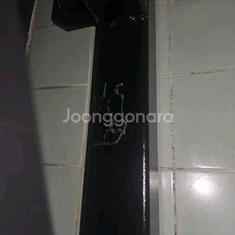 블랙벳 레그익스컬 듀얼 머신(플레이트 로드)--2