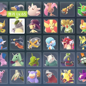 포켓몬스터za 우두로치 판매합니다