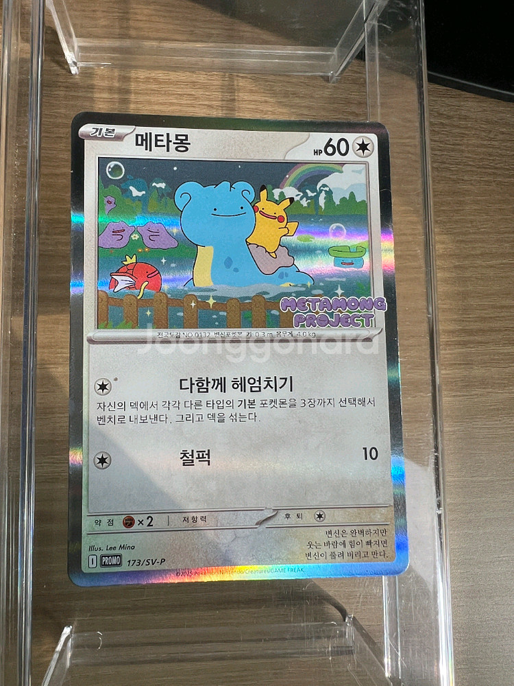 개봉)메타몽 프로모 카드--1