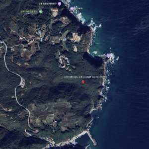 강릉땅, 강릉토지 매매 심곡리 바다조망 임야, 펜션·별