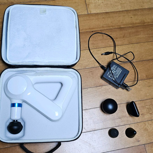 테라건 엘리트 화이트 마사지건