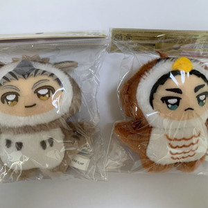 하이큐 보쿠토 아카아시 치미케모