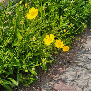 cgv 4d imax screenX sweet box