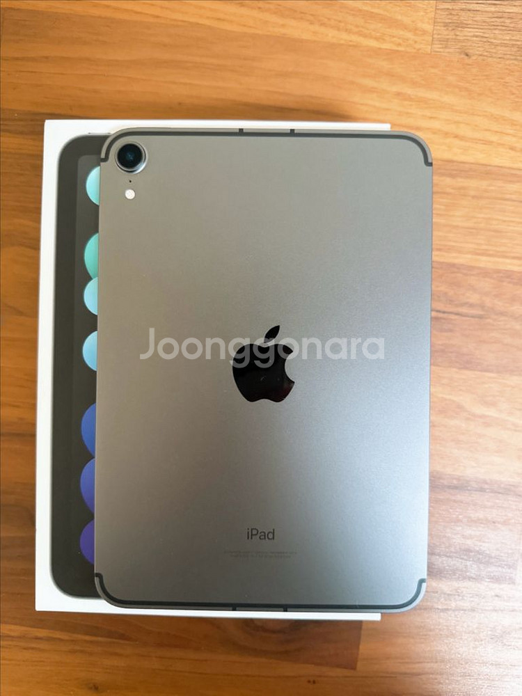 아이패드 미니 6 셀룰러--1