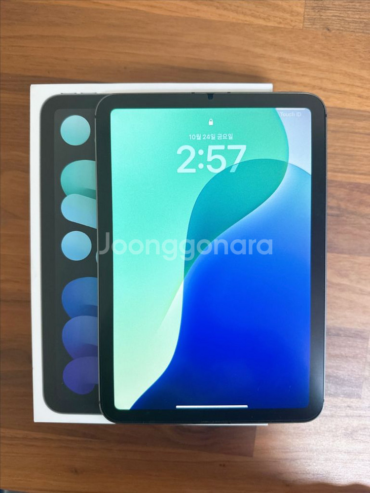 아이패드 미니 6 셀룰러--0