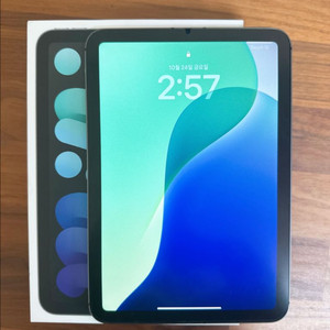 아이패드 미니 6 셀룰러