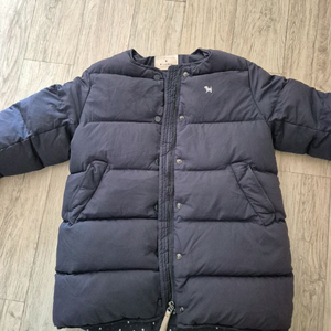 블루독 패딩110 유아동패딩