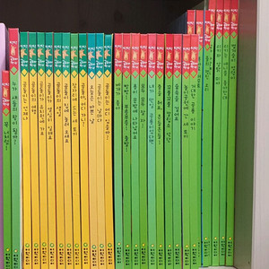 탄탄곰돌아안녕