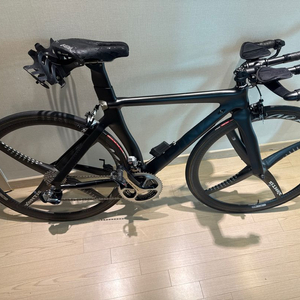 피나렐로 (브롬톤 P라인 대차가능)