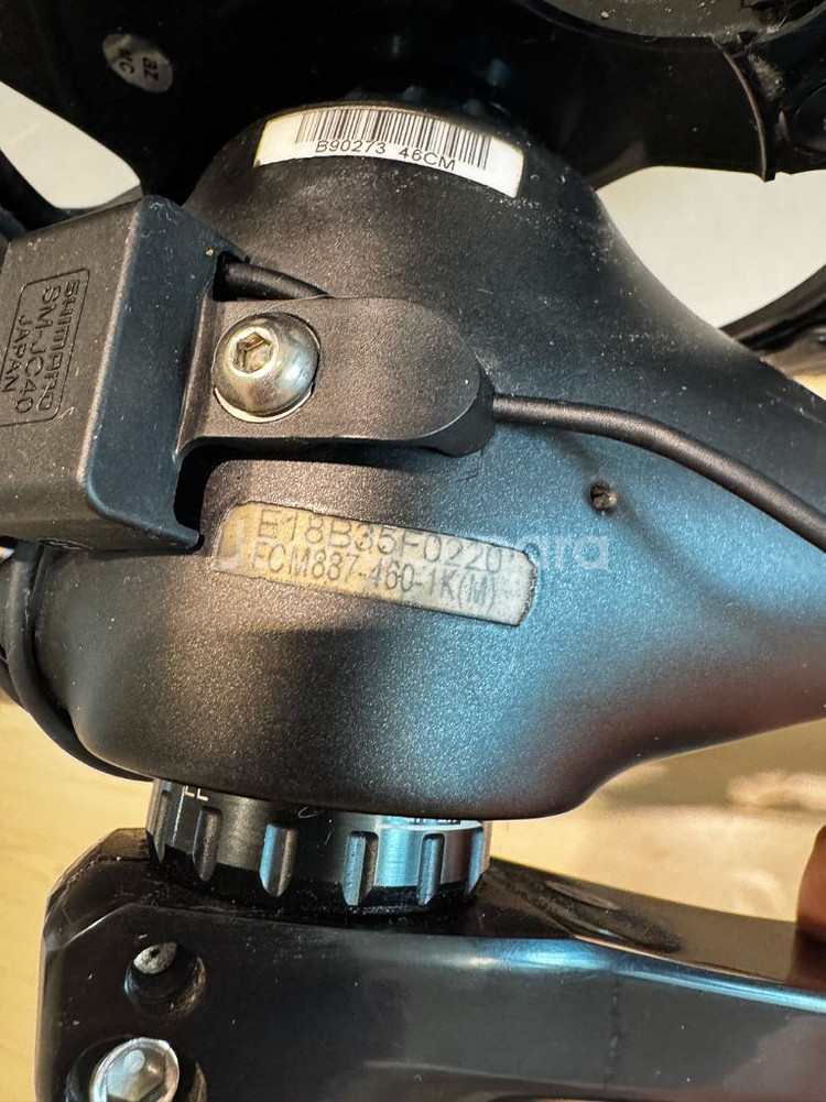 피나렐로 (브롬톤 P라인 대차가능)--7