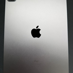 아이패드 프로 11 m1 (3세대) 128GB