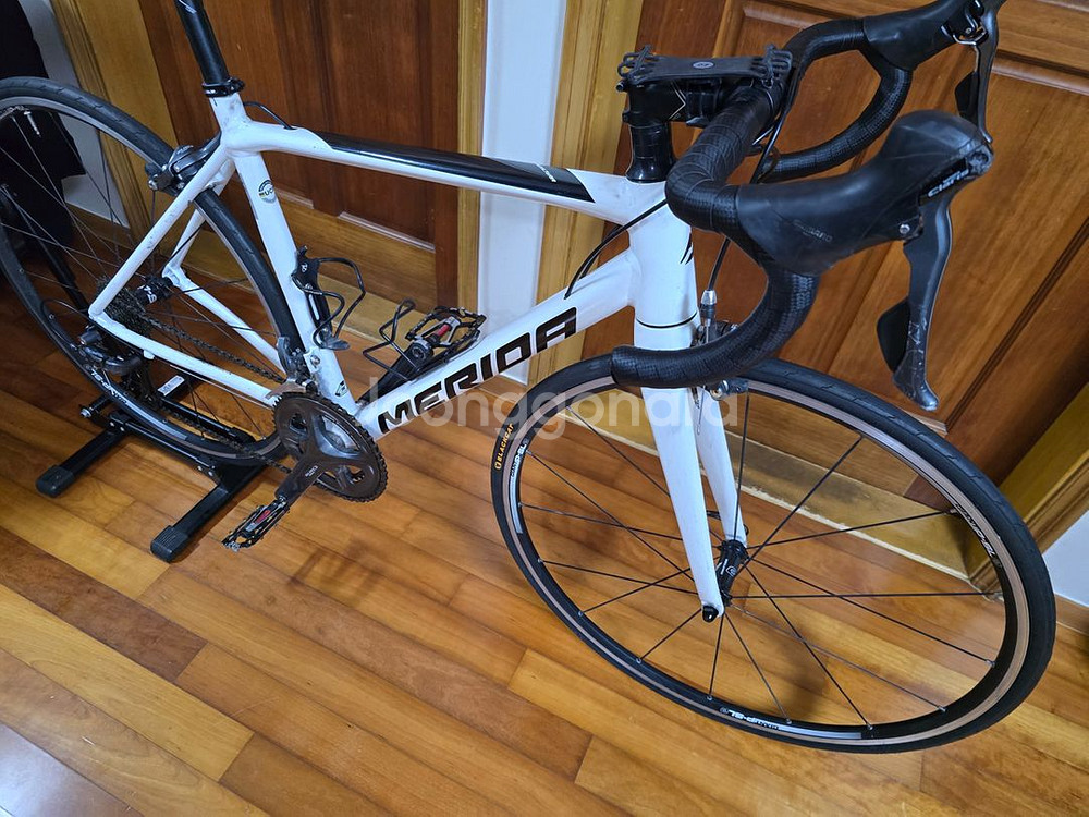 메리다 스컬트라 100 입문 로드 자전거--4