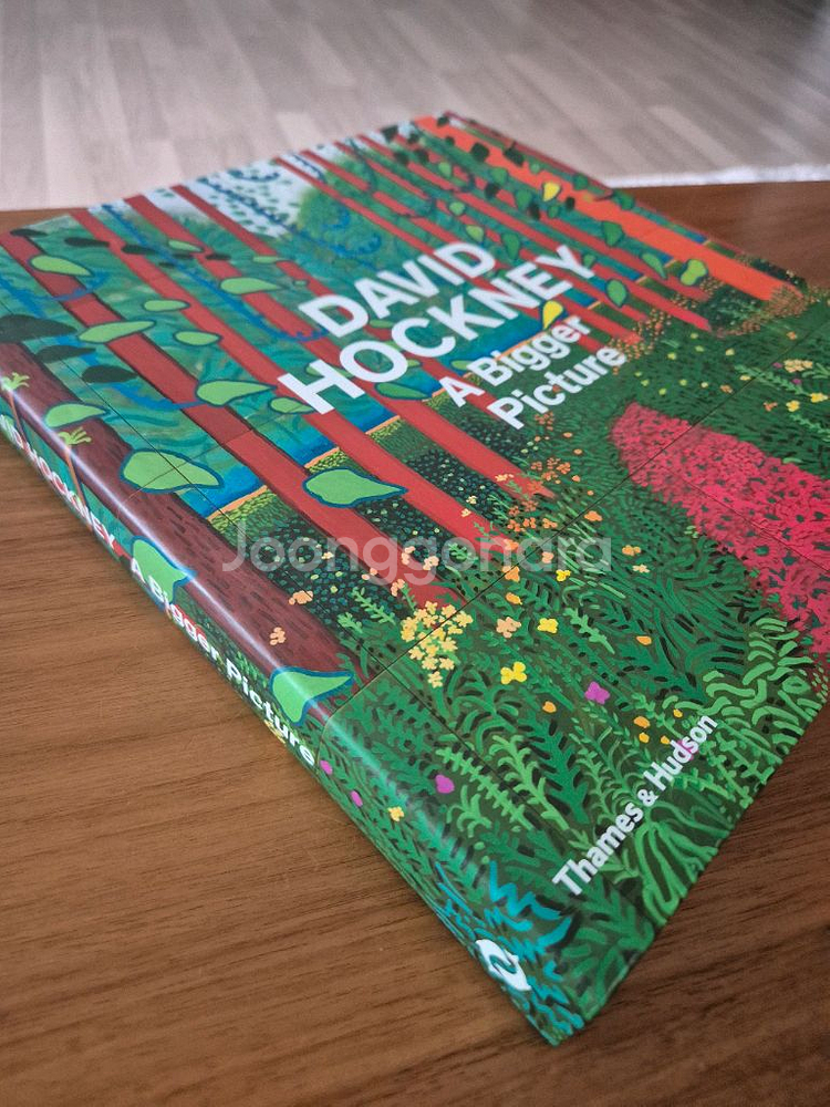 데이비드 호크니 A Bigger picture 도록--0