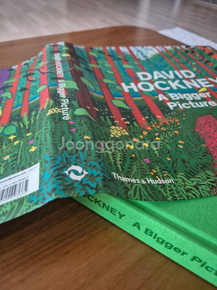 데이비드 호크니 A Bigger picture 도록--3