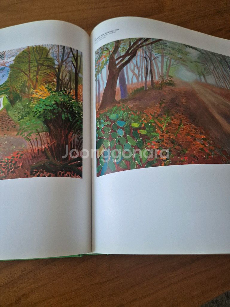 데이비드 호크니 A Bigger picture 도록--6