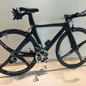 피나렐로(브롬톤 P라인 대차 가능)