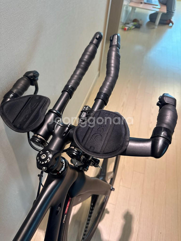 피나렐로(브롬톤 P라인 대차 가능)--1