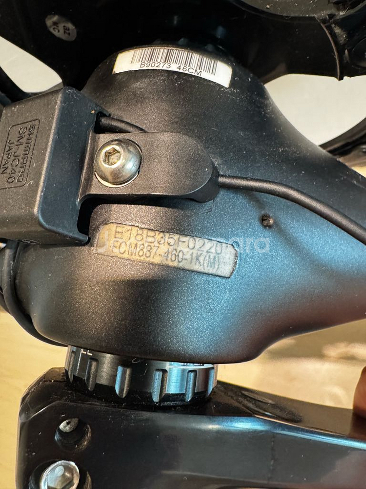 피나렐로(브롬톤 P라인 대차 가능)--9