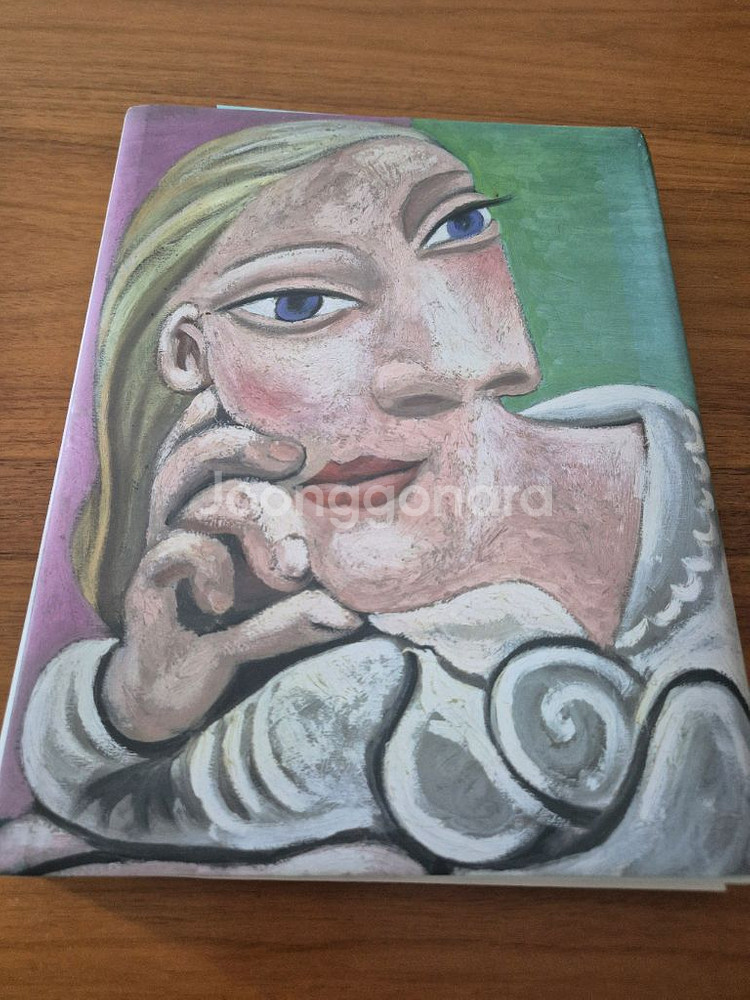 뉴욕 가고시안 갤러리 피카소 도록--1